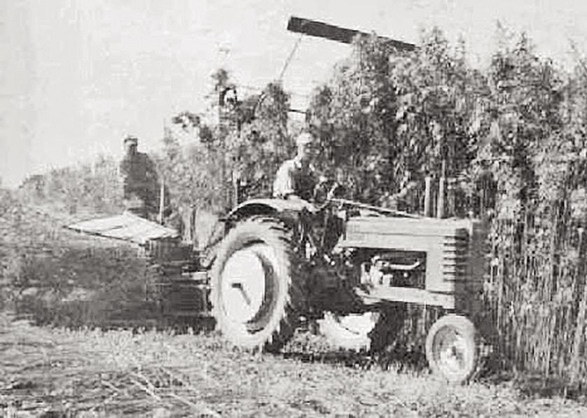 Hemp Harvest